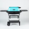 The All New Original Franklin Edition PK300AF -PitMaster Shop SR 04850 99734.1637016090